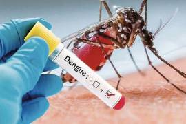 Para saber que tienes dengue y de qué tipo, haya que realizar una prueba de sangre.