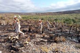 Luego de combatir por varios días más de una decena de incendios forestales registrados en diferentes partes de la entidad, elementos del Ejército Mexicano regresan a su base.