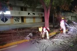 Personal del municipio de Torreón atendió las llamadas de auxilio de la ciudadanía.