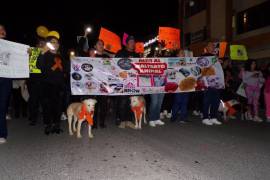 La marcha de activistas busca que la ciudadanía se involucre en la defensa de los animales.
