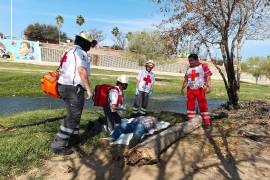 Los golpes de calor figuran entre las principales causas de atención durante la temporada.