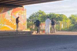 El hallazgo se dio en calzada Heroico Colegio Militar y Costerita, en ese punto se localizaron tres cuerpos sin vida de jóvenes, justo debajo del puente