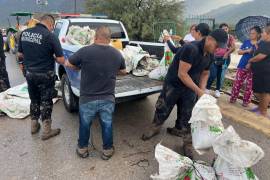 Con el apoyo de voluntarios y autoridades, se están distribuyendo alimentos, kits de limpieza y ropa a los afectados por las inundaciones en Boquillas de las Perlas.