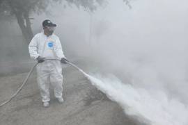 La única estrategia con un impacto real para frenar la proliferación del mosquito transmisor del dengue es la eliminación y limpieza de cacharros.