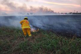 Autoridades estatales informaron que 85% de los 315 incendios registrados en 24 horas ocurrieron en baldíos y pastizales de Nuevo León.