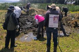 Colectivos solicitaron a la Fiscalía General de Justicia de la Ciudad de México realizar análisis periciales tras los hallazgos en la zona limítrofe con Chalco