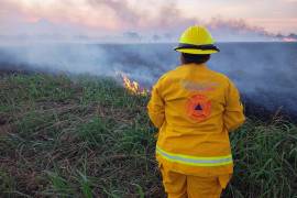 La veda prohíbe el uso de fuego en ecosistemas forestales y lotes urbanos; las sanciones alcanzan hasta 10 años de prisión y multas económicas