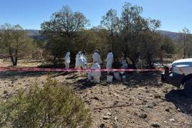 Autoridades de Chihuahua informan que 91 cuerpos han sido hallados en la fosa clandestina de “El Willy” en Nuevo Casas Grandes; 62 víctimas han sido identificadas.