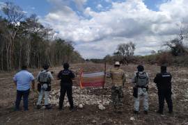 La Profepa clausuró la zona núcleo norte de la Reserva de la Biosfera Calakmul tras detectar remoción de vegetación.