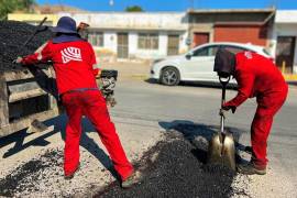 Los trabajos del programa Cero Baches han beneficiado a diversas colonias y vialidades estratégicas de Torreón en los últimos meses.