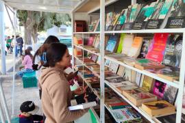 Niños hojean libros en la Biblioteca Móvil instalada en su colonia.
