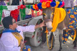 La burrita fue una de las estampas que llamó la atención durante la Gran Cabalgata de Sabinas 2026.