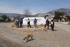 Atravesar Coahuila con un recorrido por espectaculares paisajes como el ejido el Diamante, los bosques en San Antonio de las Alazanas, entre otros.
