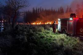 Bomberos canadienses hacen esfuerzos para extinguir uno de los incendios forestales que arden en varias provincias canadienses en Evansburg, Alberta, Canadá