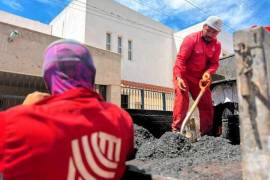 Estos trabajos se realizan con 20 cuadrillas distribuidas en cuatro sectores de la ciudad para maximizar la eficiencia.