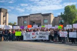 Ciudadanos piden sanciones ejemplares para los responsables del presunto maltrato animal.