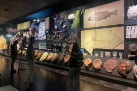 La colección del museo está integrada por unas 3 mil 700 piezas arqueológicas, de numismática, etc.