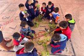 Niñas y niños participaron en talleres de germinación dentro de las brigadas ambientales.