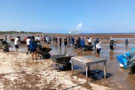 En 2025 se registraron alrededor de 38 millones de toneladas de sargazo flotando en el Atlántico; para 2026 la cifra aumentó a 60 millones.