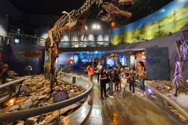El Museo del Desierto busca ahondar en cómo se dio la extinción de los dinosaurios que se tienen en exhibición.