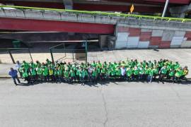 Brigadas intervienen áreas verdes con acciones de limpieza, mantenimiento y poda de palmas.