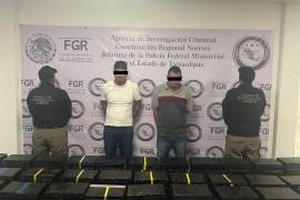 El aseguramiento se llevó a cabo en un puesto de control en San Fernando, Tamaulipas, donde los agentes hallaron 389 paquetes ocultos entre tostadas de nopal y chía