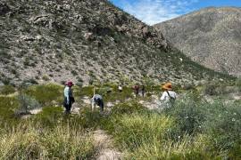Madres buscadoras localizaron restos humanos en un predio rural de Matamoros.