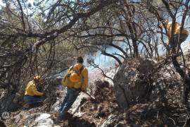 “Las brigadas que atienden el incendio generalmente las coordina la Secretaría de Medio Ambiente, la Comisión Nacional Forestal, la Comisión Nacional de Áreas Protegidas, la Sedena y la Guardia Nacional”, dijo el subsecretario de Protección Civil de Coahuila.