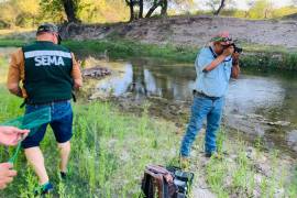 Especialistas monitorean la calidad del agua del arroyo Las Vacas, en una serie de revisiones por el estado.