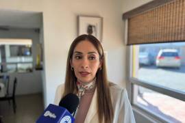 El divorcio sin causales incrementó el volumen de asuntos derivados en juzgados familiares, dijo Yeska Garza.