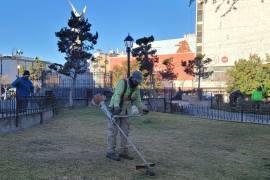 Realizan cuadrillas trabajos de deshierbe y limpieza profunda en la plaza pública.