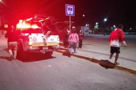 La válvula principal fue cerrada para contener la fuga y se realizaron revisiones médicas preventivas.