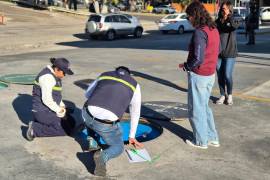 El operativo derivó en la inmovilización de equipos y clausuras para proteger a los consumidores.