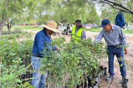 Fresnos, mezquites y palmas yuca serán plantados en instalaciones militares como parte de un programa de reforestación en Piedras Negras, Coahuila.