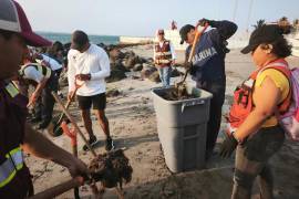 Se activaron brigadas de limpieza en playas con apoyo de pescadores, autoridades locales y comunidades de la región.