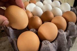 De acuerdo con el Grupo Consultor de Mercados Agrícolas, a pesar de que el huevo es más barato que hace un mes, los consumidores mexicanos están pagando el doble.