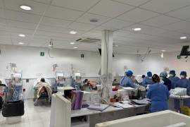 El organismo añadió que se activarán protocolos de protección frente a represalias, incluyendo medidas laborales y administrativas.