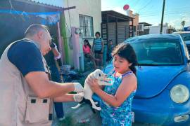 Cerca de un centenar de perros y gatos recibieron atención preventiva en una jornada que también incluyó fumigación de garrapatas y mosquitos, en Sabinas, Coahuila.