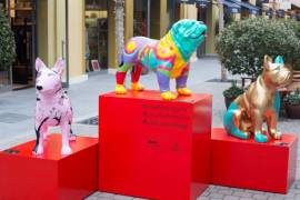 Madrid y Barcelona celebran exposición #lovethedogart