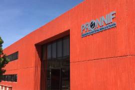 Por definir titular de Pronnif para próxima administración estatal