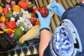 Los productos deben ser declarados y pasar inspección en los cruces fronterizos.