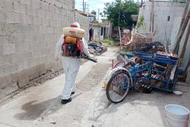Personal de Salud Municipal reforzó fumigaciones y control larvario en sectores con riesgo tras las lluvias.