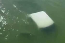 La camioneta en la que se trasladaban cayó al río en el poblado La Pesca, municipio de Soto La Marina.