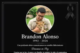 Brandon Alonso Arias falleció en un hospital después de permanecer dos días internado por las lesiones que sufrió en un estacionamiento.
