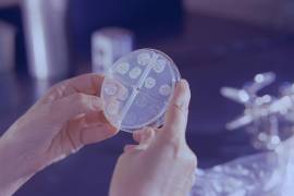 Coahuila reportó 34 casos de sífilis adquirida, situándose en niveles similares a otros estados con incidencia intermedia.