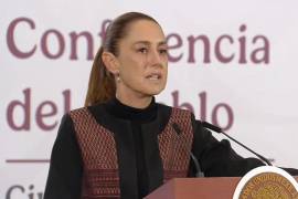 En relación con el operativo del domingo, la mandataria criticó la desinformación que circuló en redes sociales.