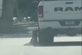 El video de un hombre que aparentemente arrastra a un perro generó indignación en redes sociales de Acuña, Coahuila.