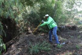Las acciones responden a peticiones ciudadanas para prevenir riesgos en la vía pública.