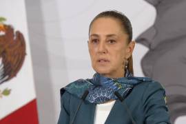 Añadió que el plan contempla cooperación con México en áreas como decomiso de precursores químicos, fortalecimiento institucional y combate a las organizaciones criminales, bajo principios de respeto a la soberanía y cooperación sin subordinación.