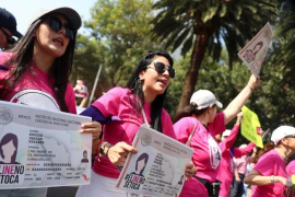 Las organizaciones Marea Rosa y UNID@S expresaron su respaldo a este movimiento